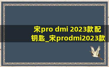 宋pro dmi 2023款配钥匙_宋prodmi2023款怎么用钥匙